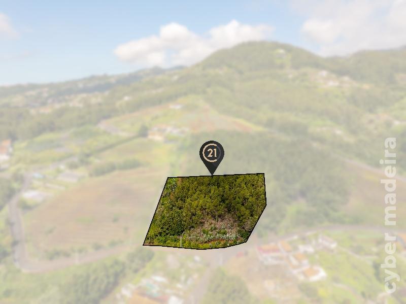 Terreno Outros para Venda 