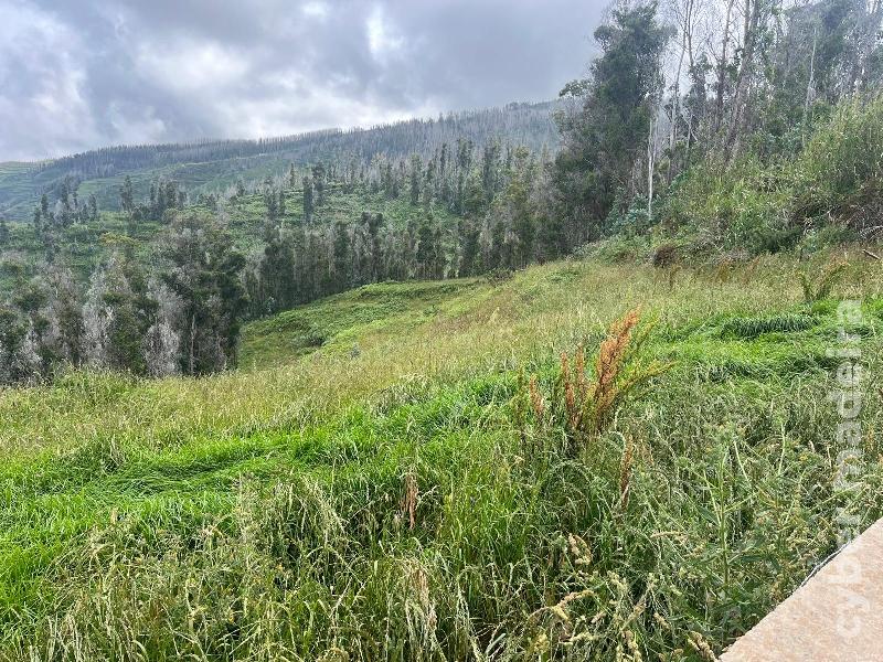 Terreno Outros para Venda 