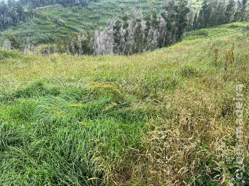 Terreno Outros para Venda 