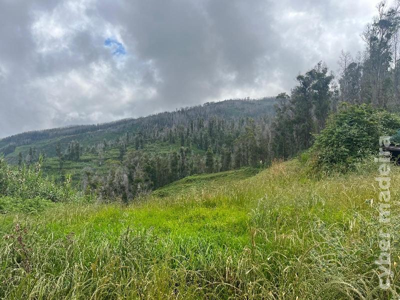 Terreno Outros para Venda 