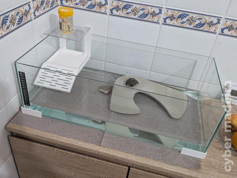 Vendo tartaruga e aquário