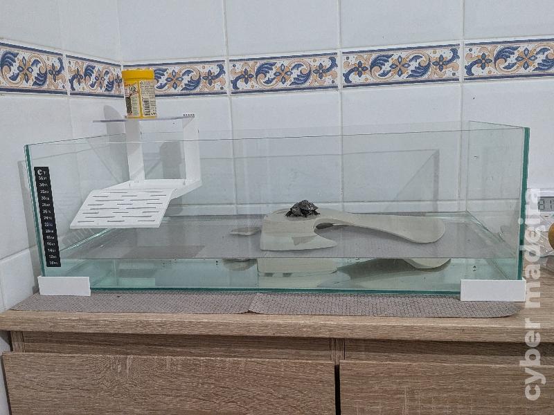 Vendo tartaruga e aquário