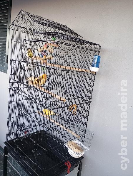 Gaiola grande ofereço canários