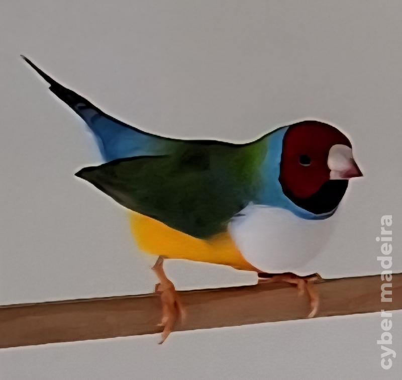 Diamante de Gould para ceder