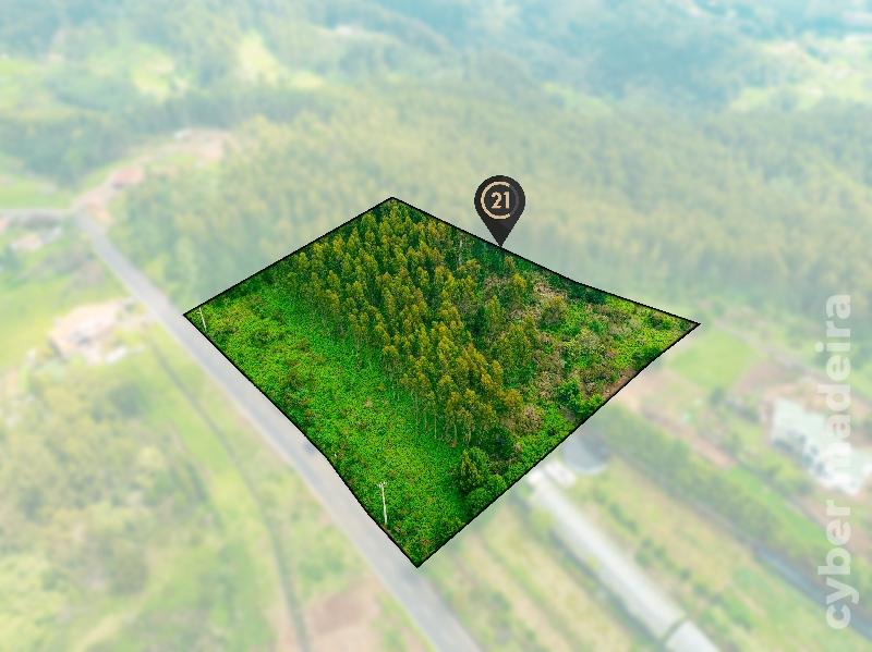 Terreno Outros para Venda