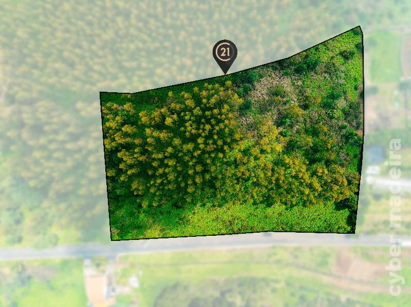 Terreno Outros para Venda