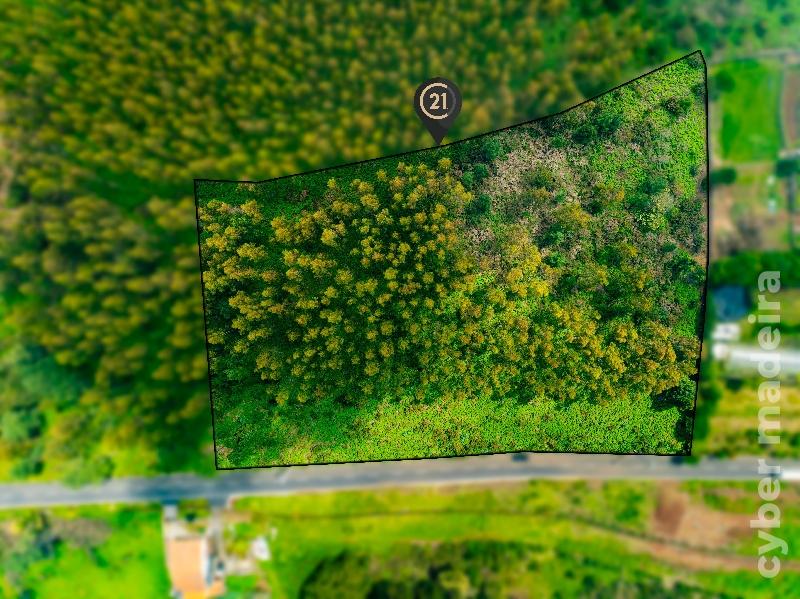 Terreno Outros para Venda
