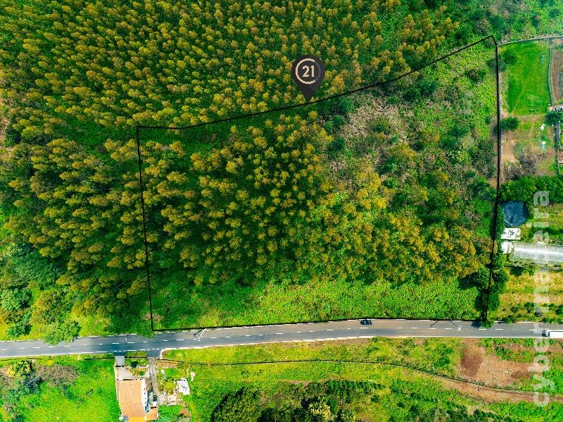 Terreno Outros para Venda