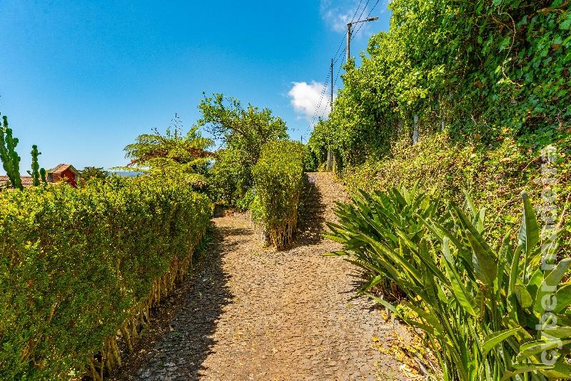 Herdade e Quinta T3 para Venda