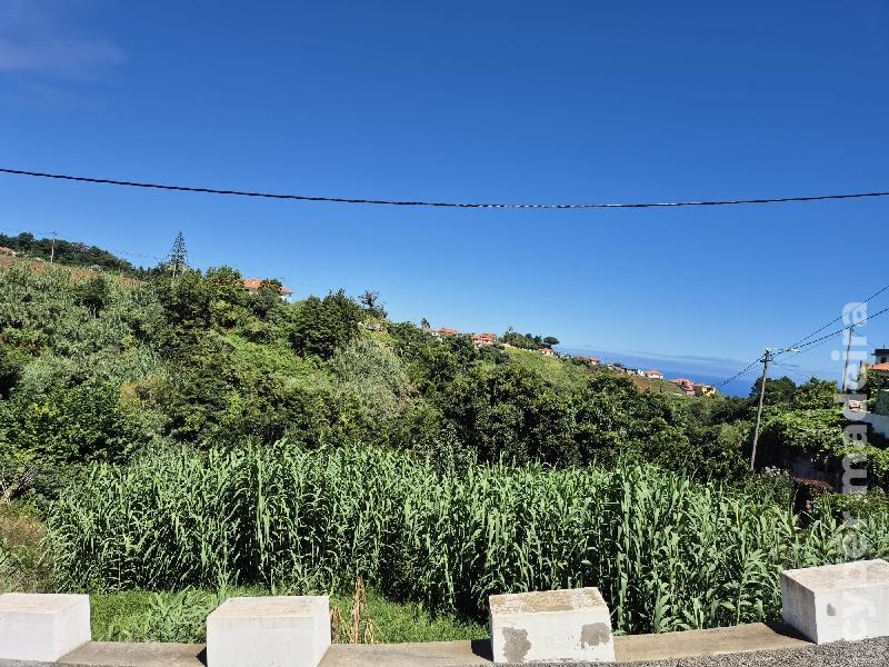 Terreno Outros para Venda