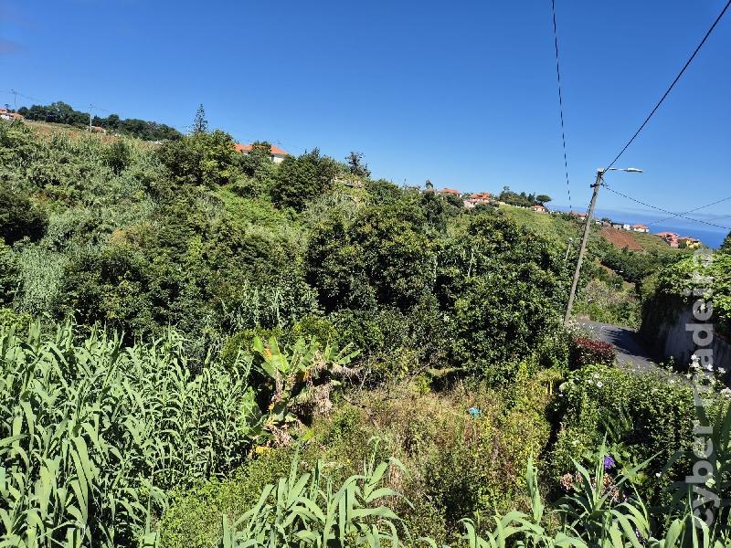 Terreno Outros para Venda