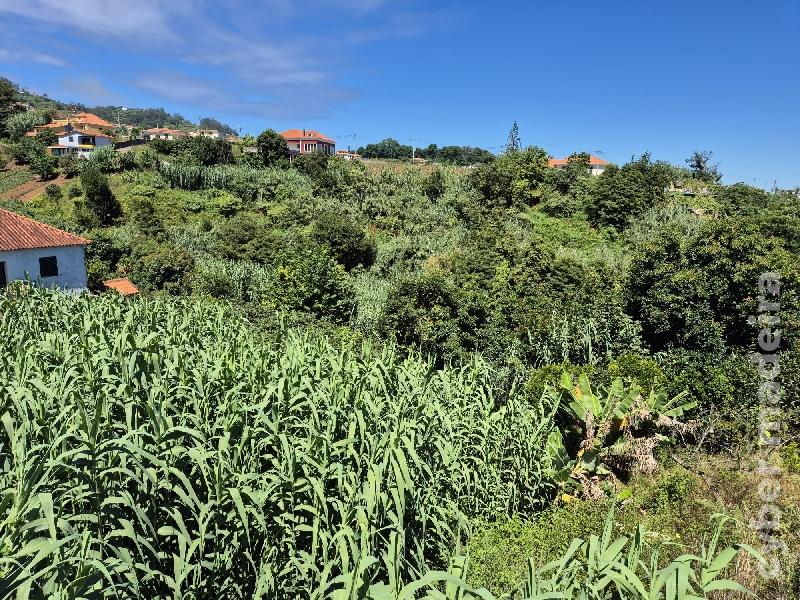 Terreno Outros para Venda