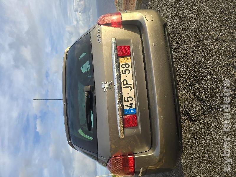 PEUGEOT 407 407 1.6 HDI Gasóleo