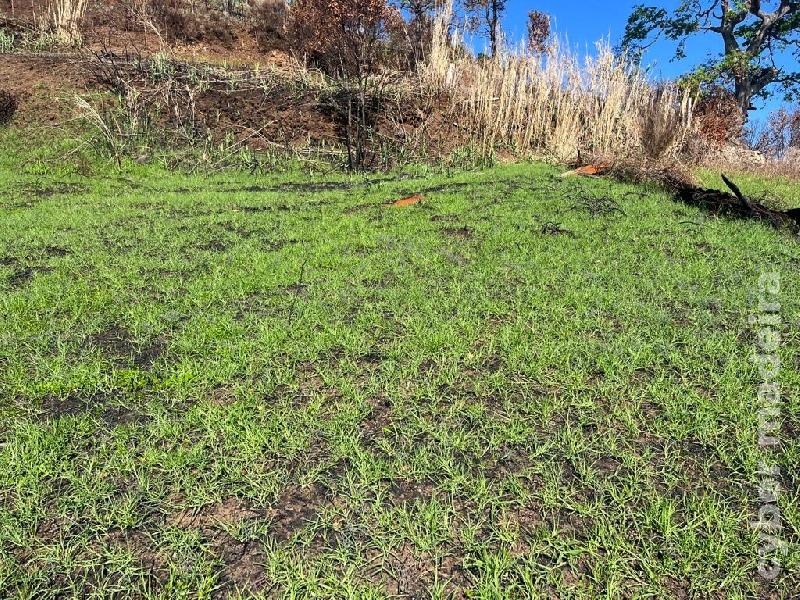 Terreno T0 para Venda