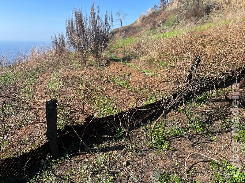 Terreno T0 para Venda