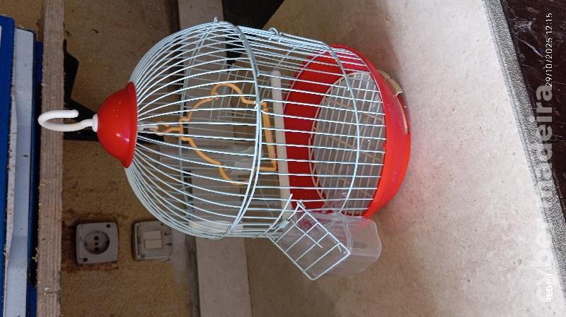 Vendo gaiola Nova