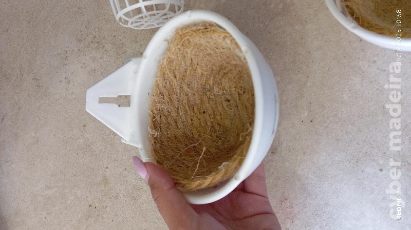 Ninhos para passaros