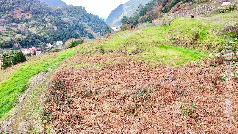 Terreno T3 para Venda