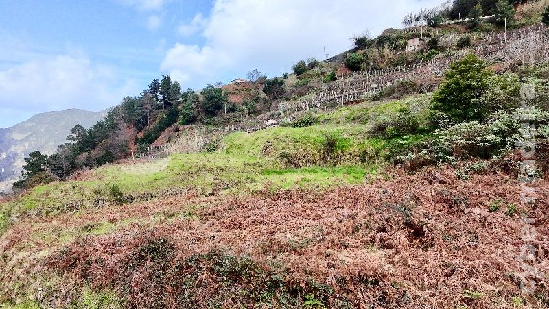 Terreno T3 para Venda