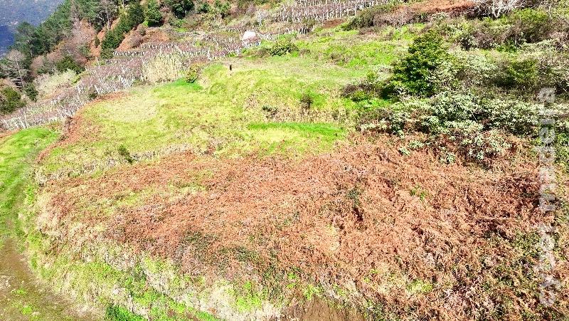 Terreno T3 para Venda