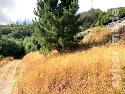 Terreno Outros para Venda