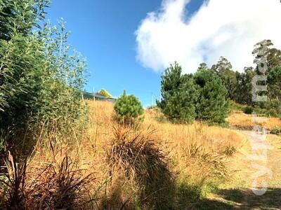 Terreno Outros para Venda