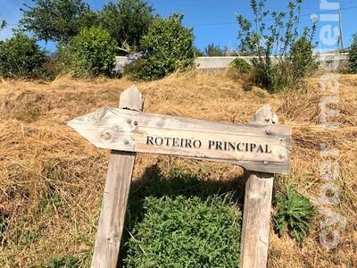 Terreno Outros para Venda