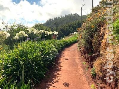 Terreno Outros para Venda