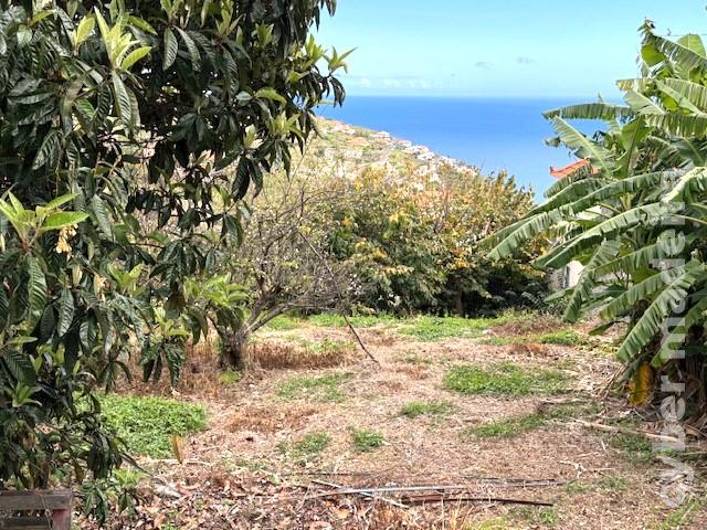 Moradia T5 para Venda