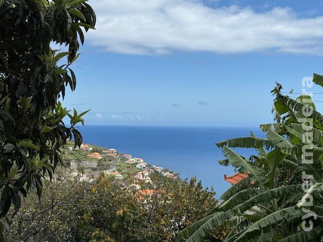 Moradia T5 para Venda