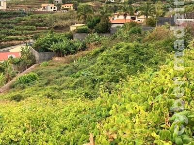 Terreno Outros para Venda