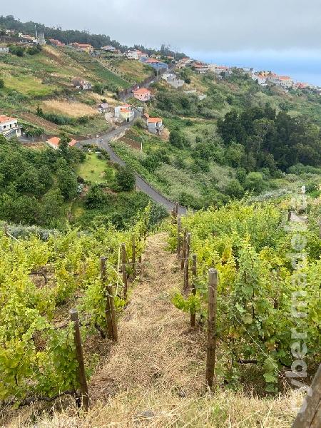 Moradia T2 para Venda