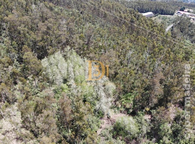 Terreno Outros para Venda