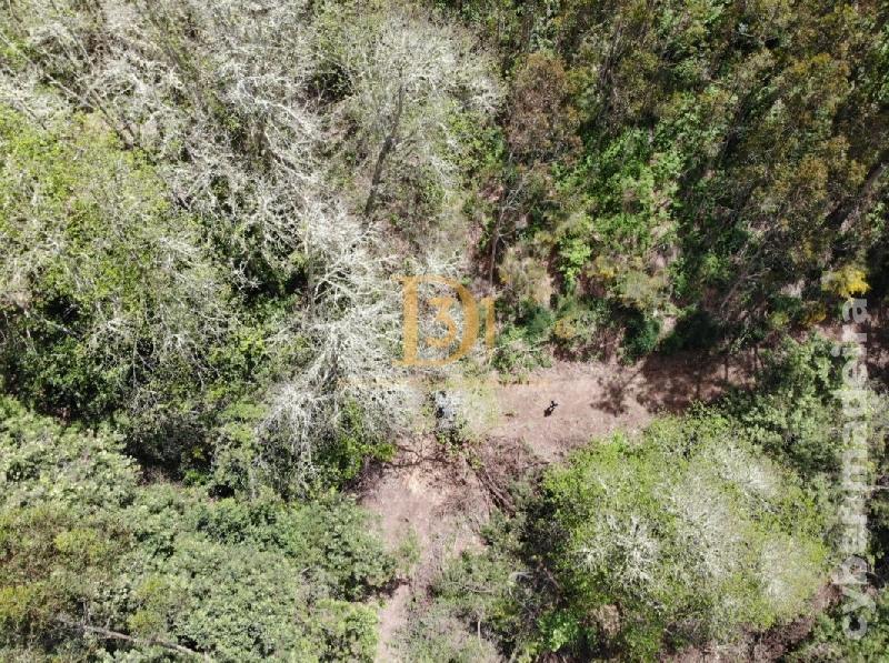 Terreno Outros para Venda