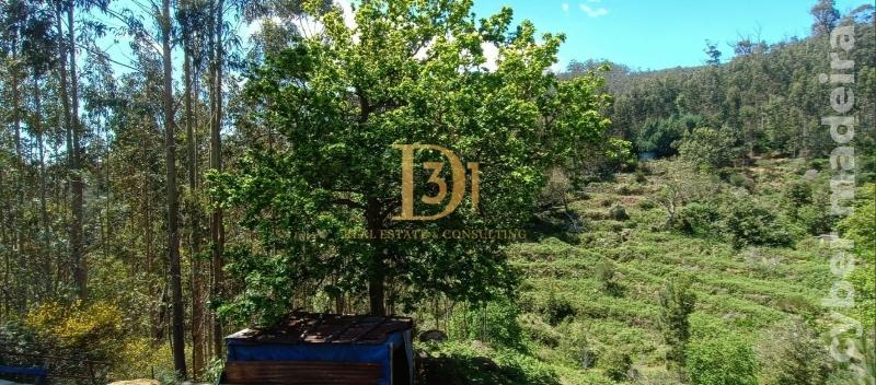 Terreno Outros para Venda