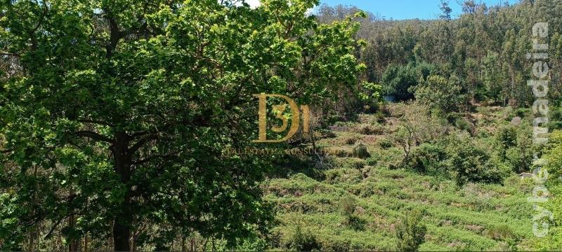 Terreno Outros para Venda