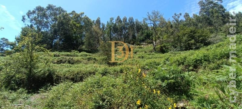 Terreno Outros para Venda