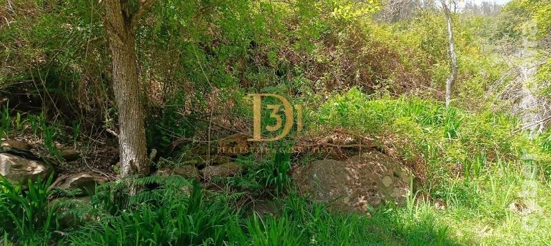 Terreno Outros para Venda