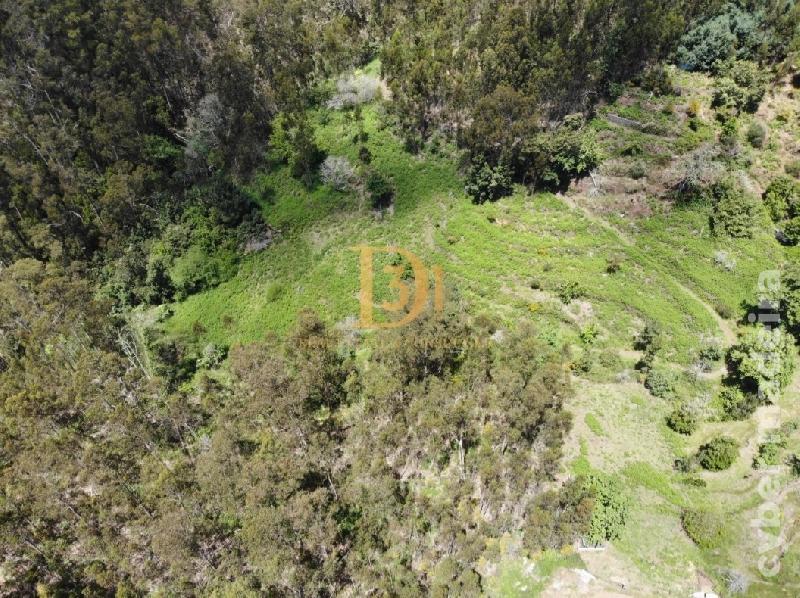 Terreno Outros para Venda