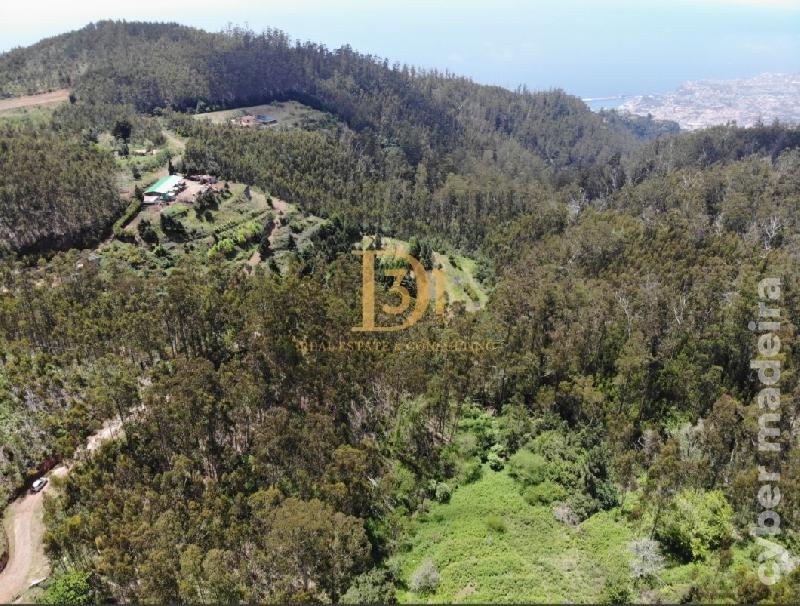 Terreno Outros para Venda