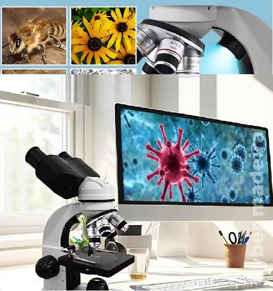 Microscópio binocular com ocular eletrónico.