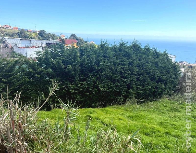 Terreno Outros para Venda