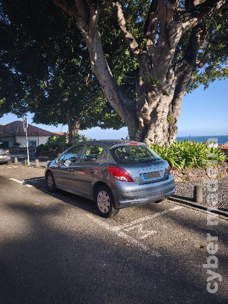 PEUGEOT 207 hatchback Gasolina