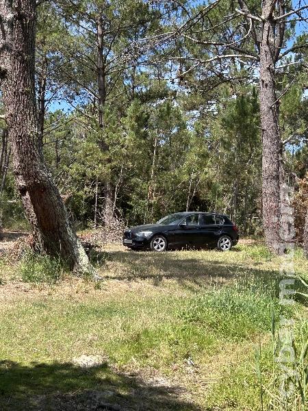 BMW Serie 1 116D Gasóleo