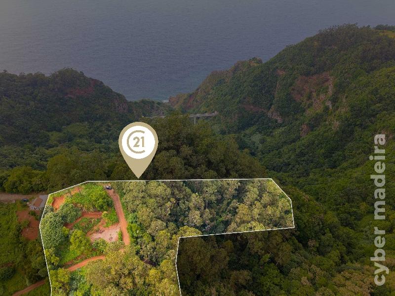 Terreno Outros para Venda