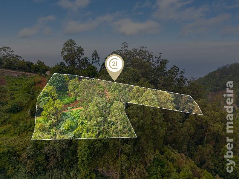 Terreno Outros para Venda