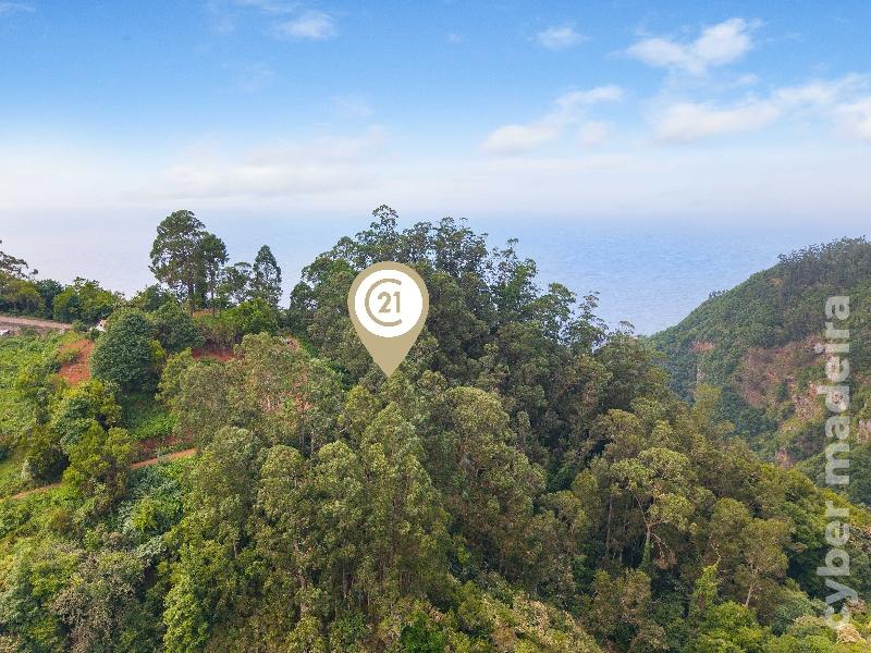 Terreno Outros para Venda