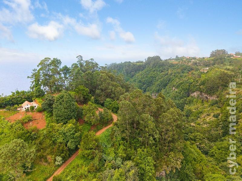 Terreno Outros para Venda