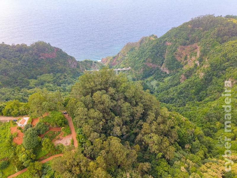 Terreno Outros para Venda