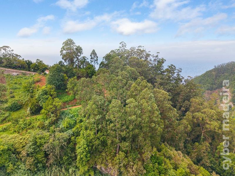 Terreno Outros para Venda